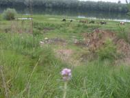 Ямпіль з panoramio.com