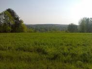 Воргол - Последние фото