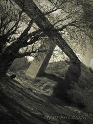 Петро-Миколаївка з panoramio.com