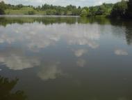 Угроїди з panoramio.com