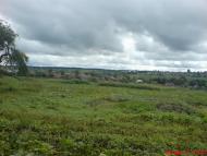 Угроїди з panoramio.com