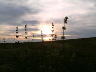 Багерове з panoramio.com