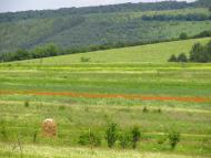 Маркова з panoramio.com