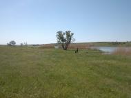 Мефодіївка з panoramio.com