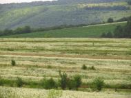 Маркова з panoramio.com