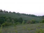 Лозова з panoramio.com