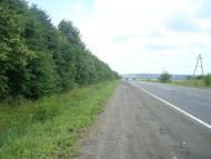 Копистин з panoramio.com