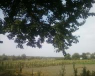 Синява з panoramio.com