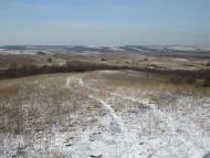 Степанівка - Останні фото