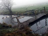 Долиняни з panoramio.com