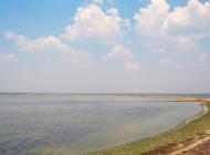 Роздольне з panoramio.com