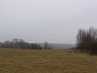 Макалевичі - Останні фото