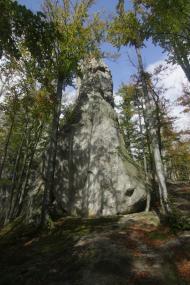 Поляниця з panoramio.com