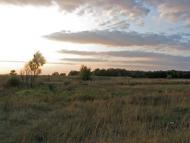 Горошине з panoramio.com