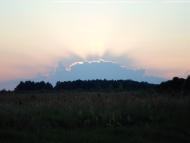 Вольниця - Останні фото