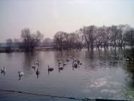 Червоноград з panoramio.com