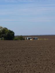 Веселий Кут - Останні фото