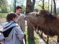 Колоденка з panoramio.com