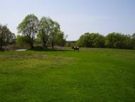 Старикове - Останні фото