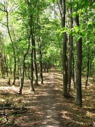 Городнє з panoramio.com