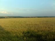 Андріївка з panoramio.com