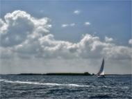 Малокатеринівка - Останні фото