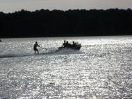 Хрінники з panoramio.com