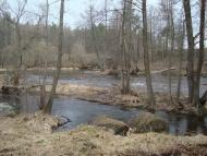 Повч - Останні фото