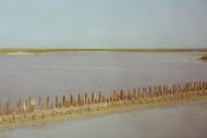 Сиваш з panoramio.com