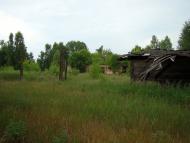 Базар з panoramio.com