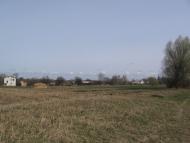 Петрушин з panoramio.com