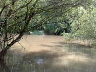 Яськи з panoramio.com