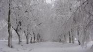 Волноваха з panoramio.com