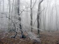 Багате з panoramio.com