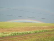 Волошине з panoramio.com