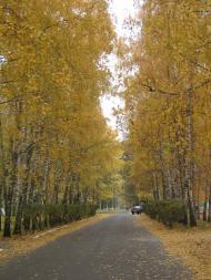 Згурівка з panoramio.com