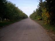 Скаржинка з panoramio.com