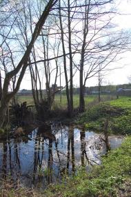 Рудня-Новенька з panoramio.com