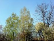 Краснополка - Последние фото