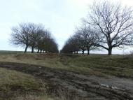 Подолянське з panoramio.com