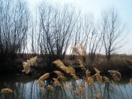 Біляївка з panoramio.com