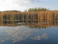 Мирони з panoramio.com