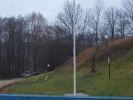 Віта-Поштова з panoramio.com