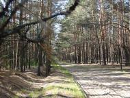 Костюхнівка - Останні фото