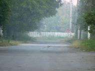 Кривець з panoramio.com