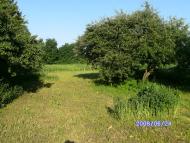 Жоравка - Останні фото