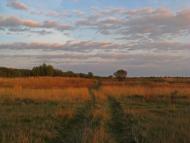 Горошине з panoramio.com