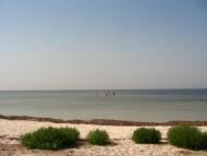 Роздольне з panoramio.com