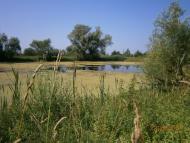 Берездівці з panoramio.com