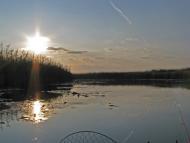 Мирони з panoramio.com